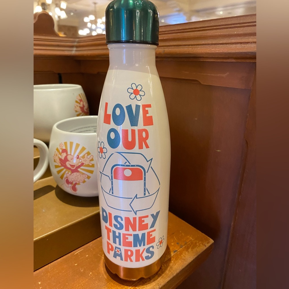 Disney Parks ''Love Our Disney Theme Parks'' Stainless Steel Water Bottle BNWT